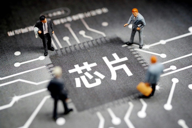 芯片相當于人的什么器官? 芯片相當于人的什么器官?