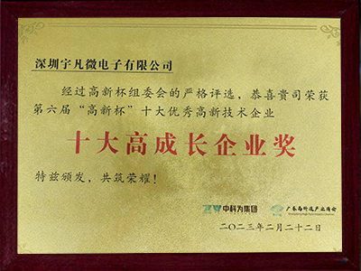 十大高成長(zhǎng)企業(yè)獎(jiǎng)