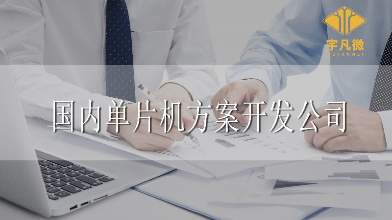 國內(nèi)單片機方案開發(fā)公司