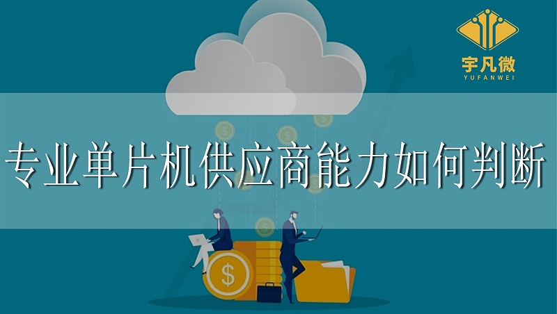 專業(yè)單片機供應(yīng)商能力如何判斷
